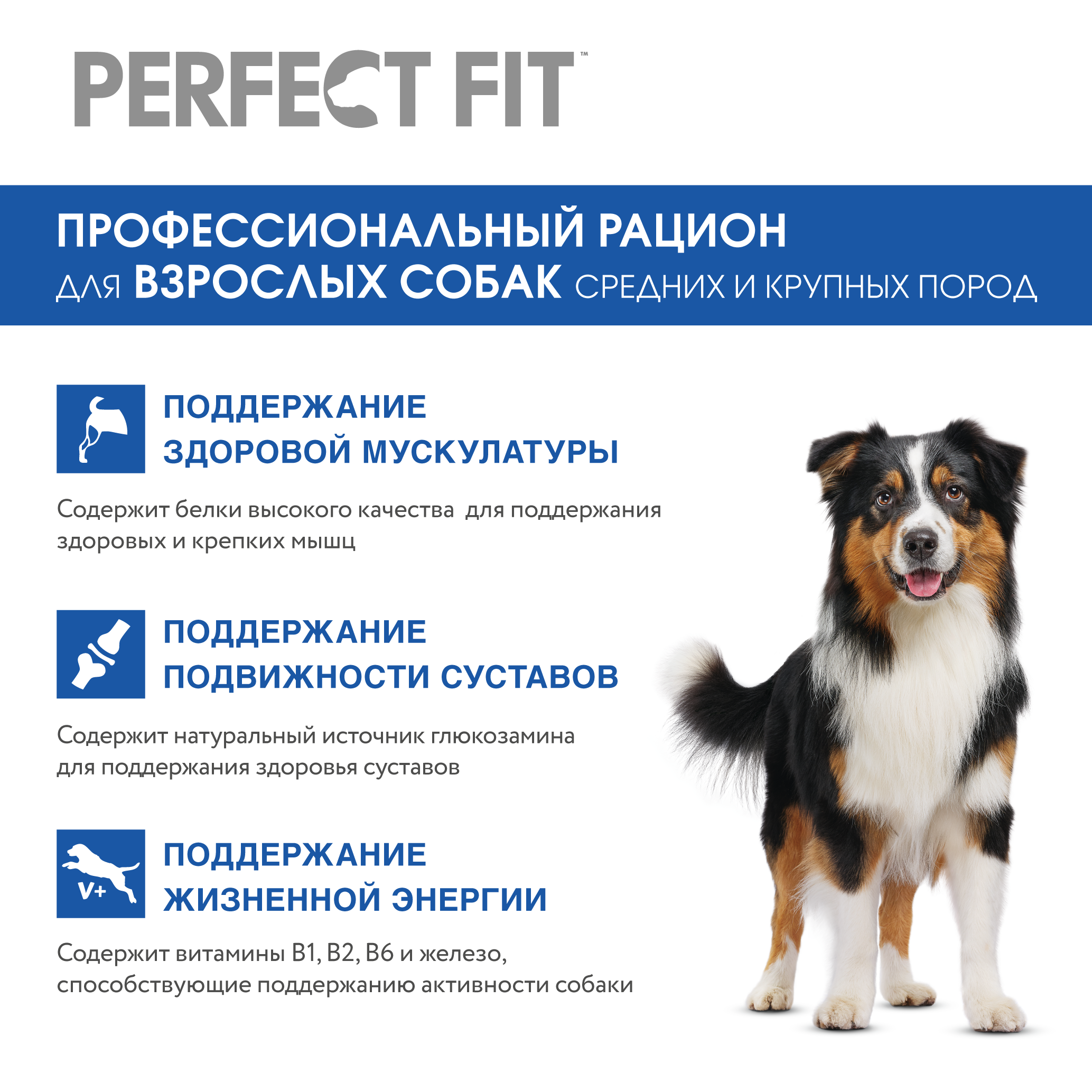 PerfectFit_DOGs_DCOMM_2025.06.16_Adult_XL_Benefits2