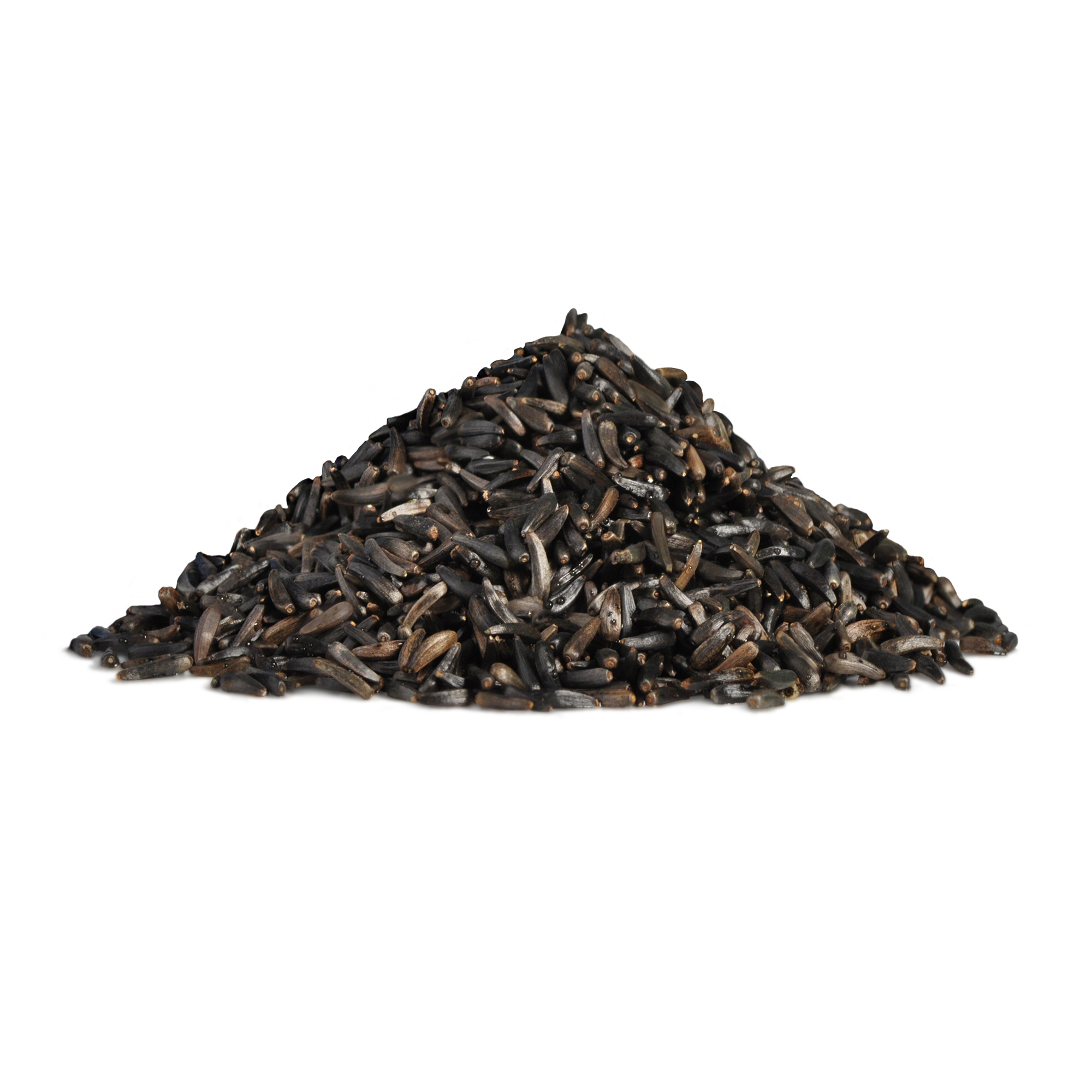 RIO_niger seeds_show