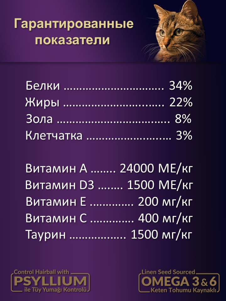 БИ_000268_4