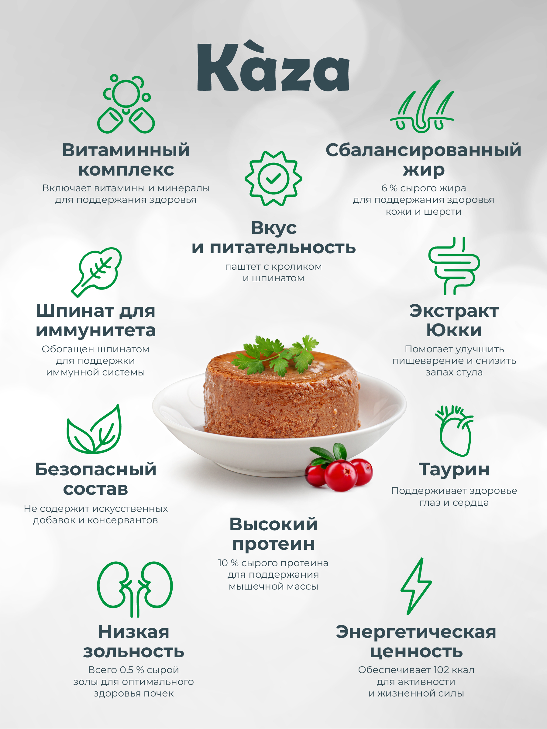 Kaza_card_USP-06
