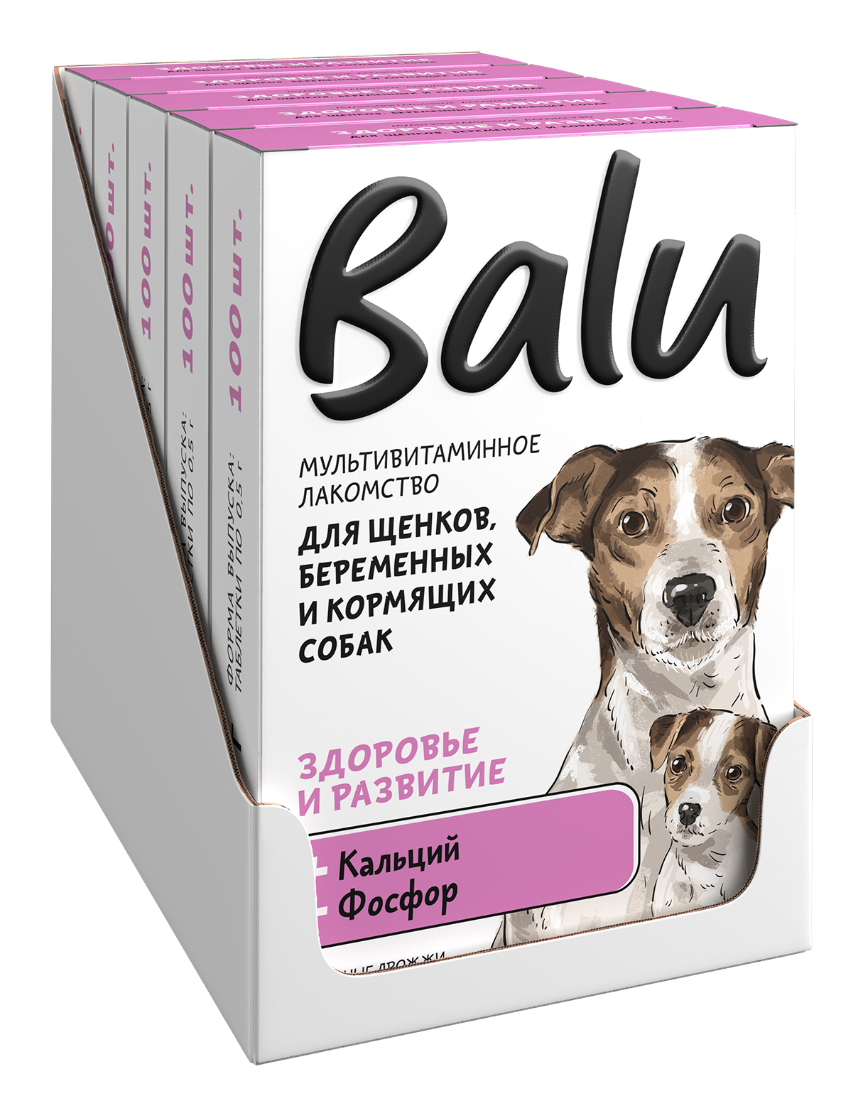 Шоубокс щенка и беременные