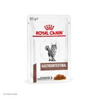 11_Cat_Gastrointestinal_Wet