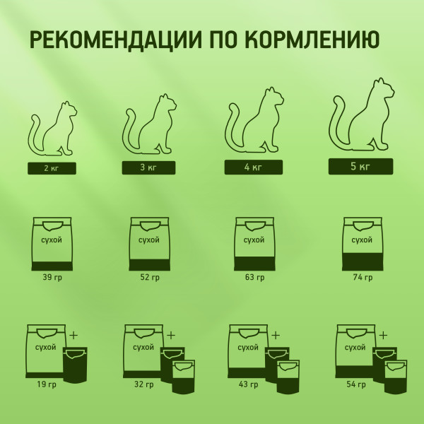 lwjpmc6ssykfgahkp8eu (1)