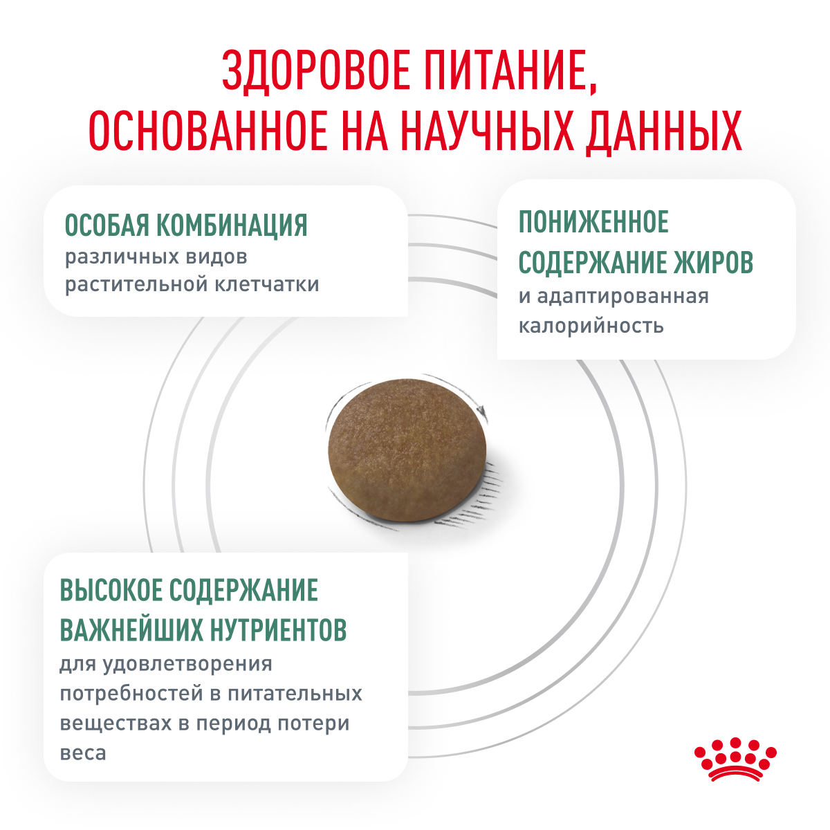 Cat_Satiety_weight_management_3