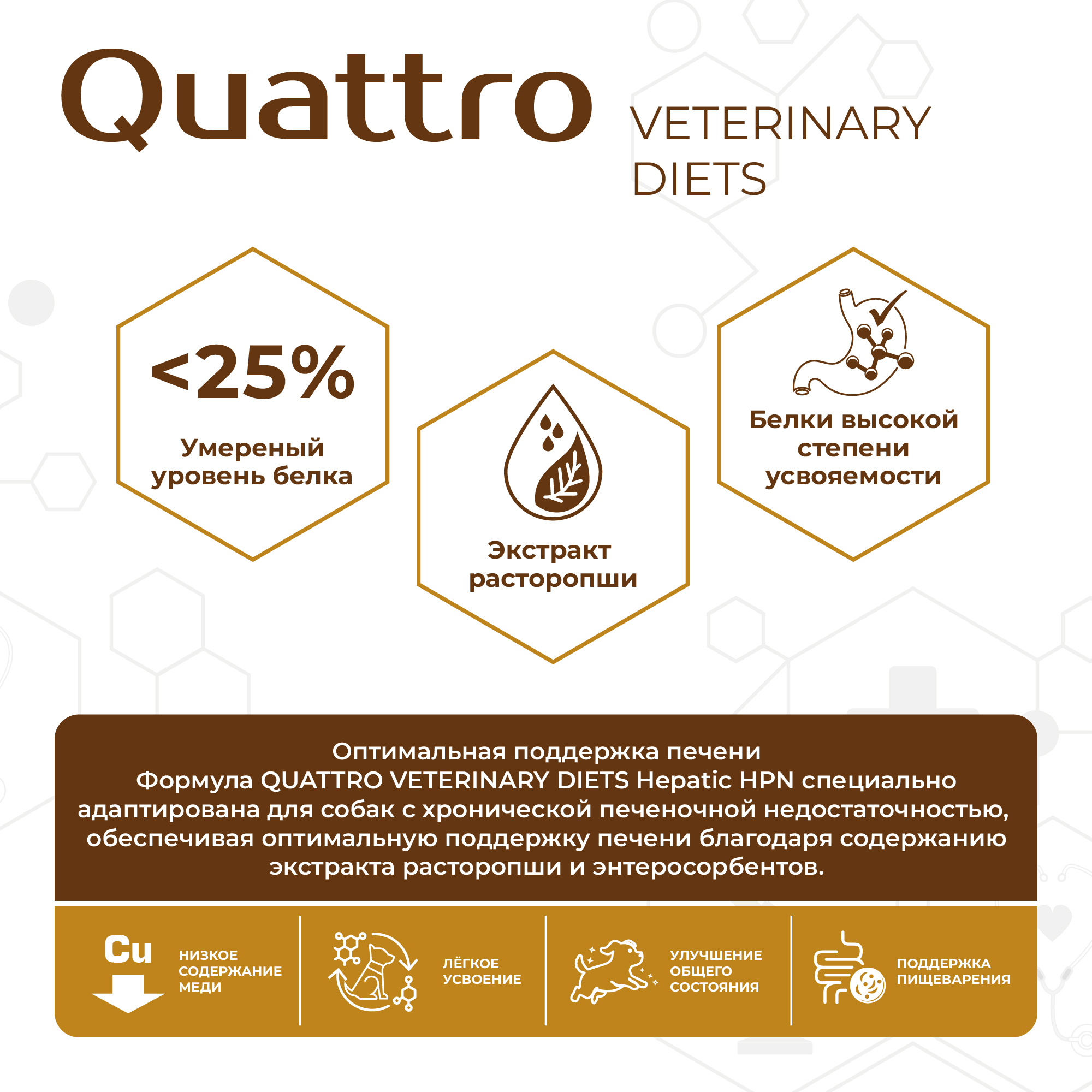 Quattro_Vet_11SKU_cards_2000px-50