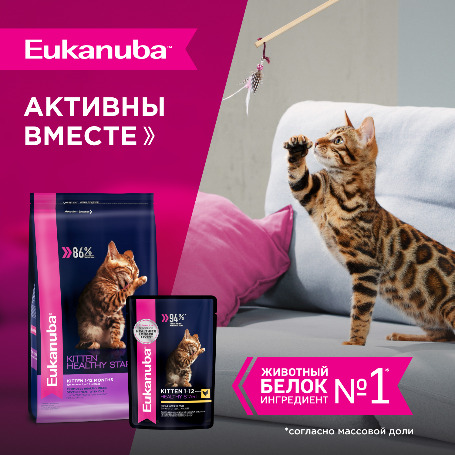 8-ВЛАЖНЫЙ-KITTEN_HEALTHY_START