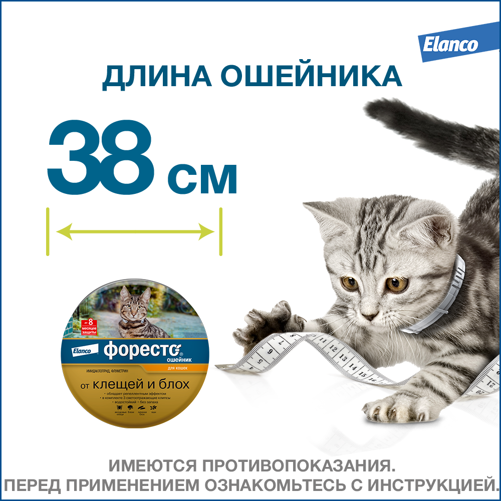 Elanco Форесто ошейник для котят и кошек, от клещей и блох — купить по  доступной цене с доставкой