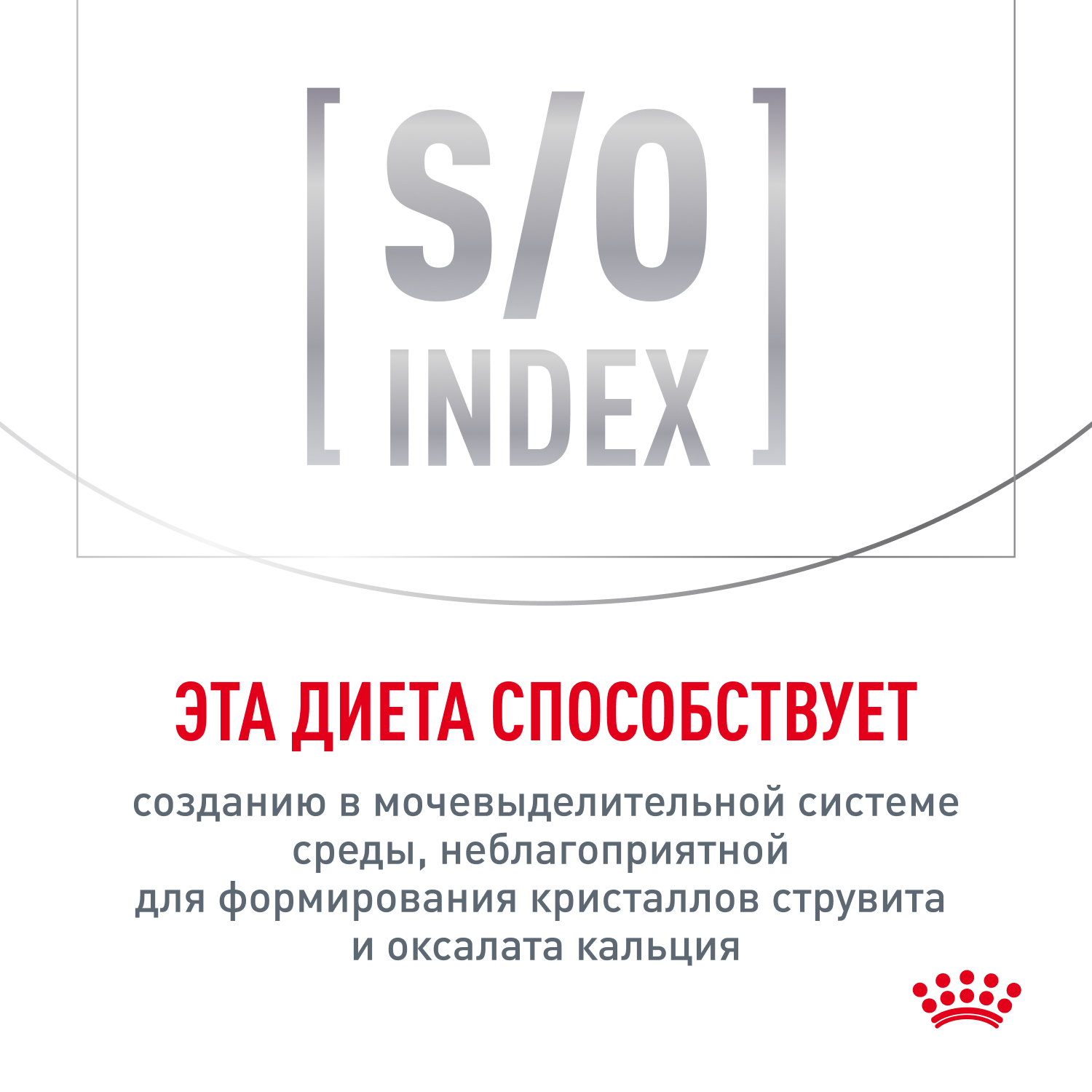 Cat_Satiety_weight_management_6