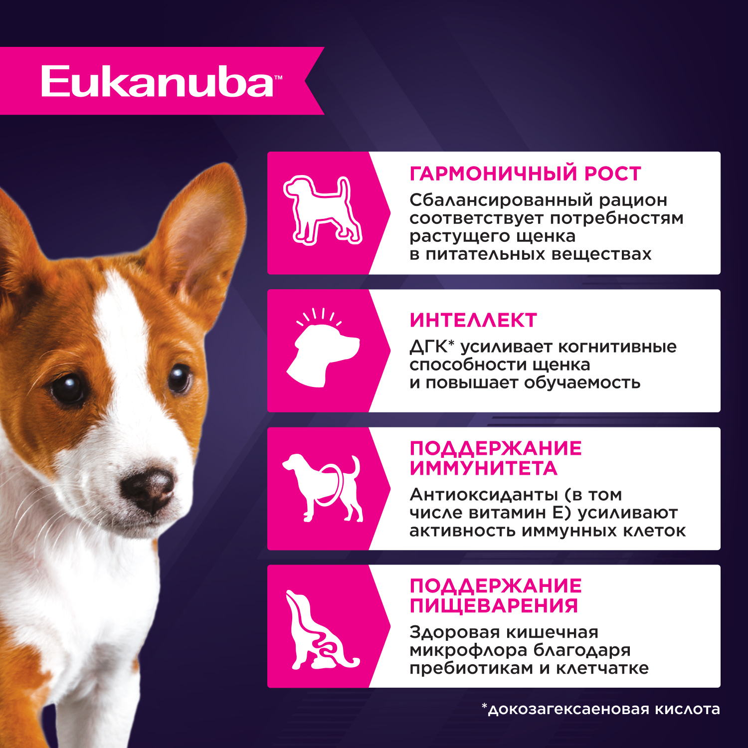 2-WET-DOG-PUPPY-CHIСKEN