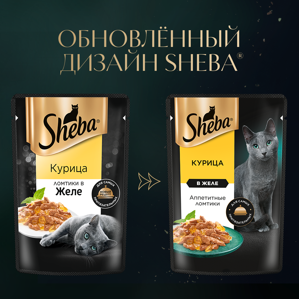 sheba_курица в желе