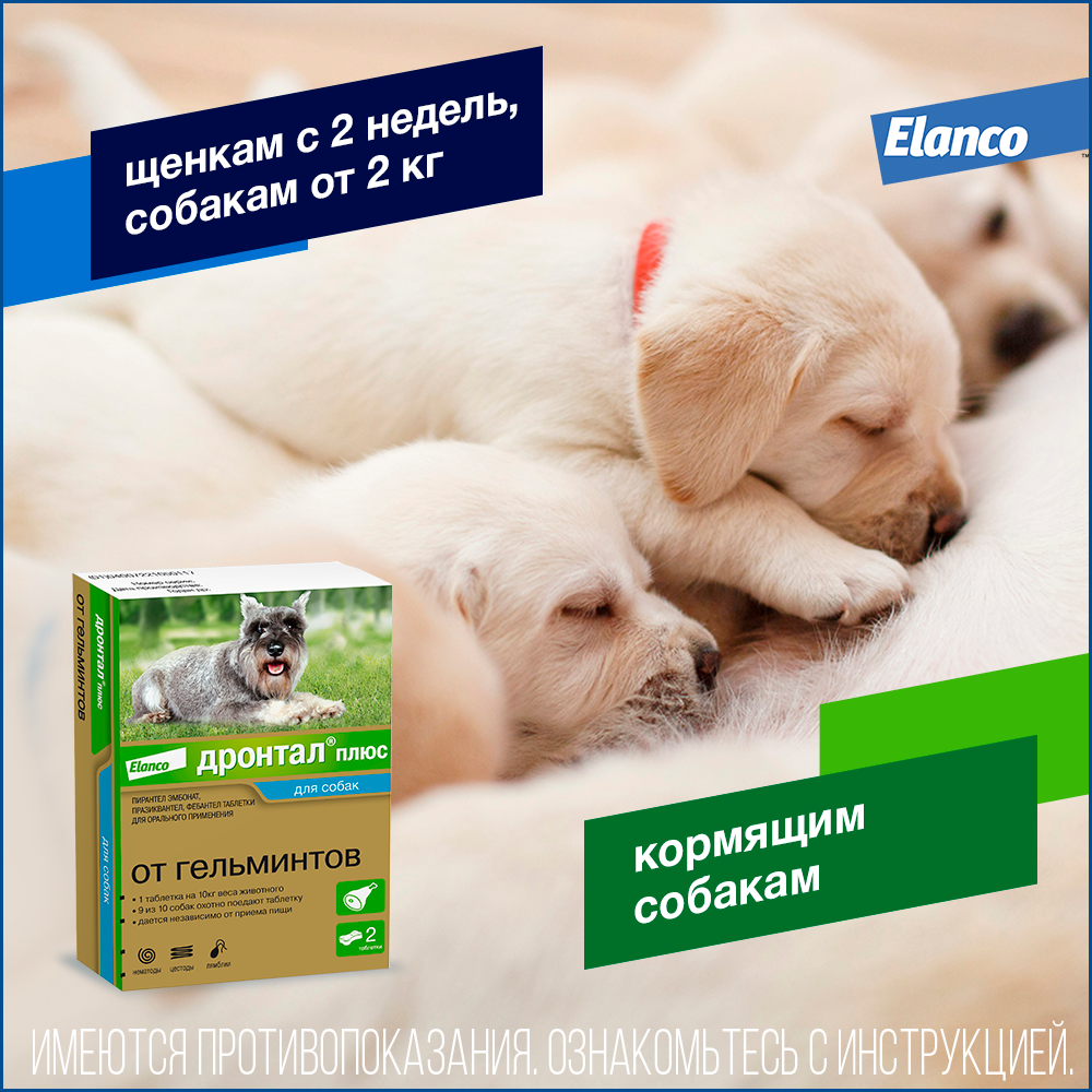 6. Drontal dog_2tab_puppy
