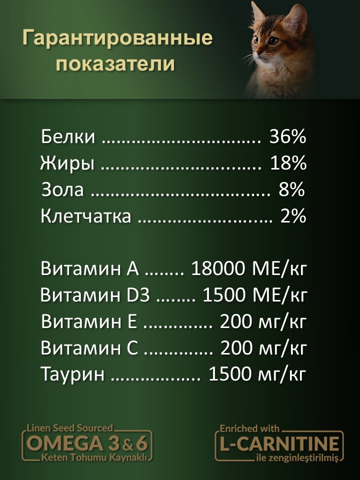 БИ_000267_4