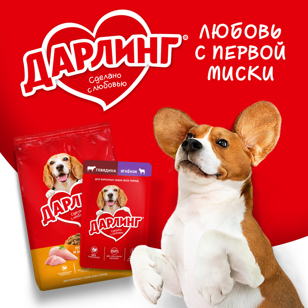 669403d9-e16d-4e67-94b5-13521f3d99ca