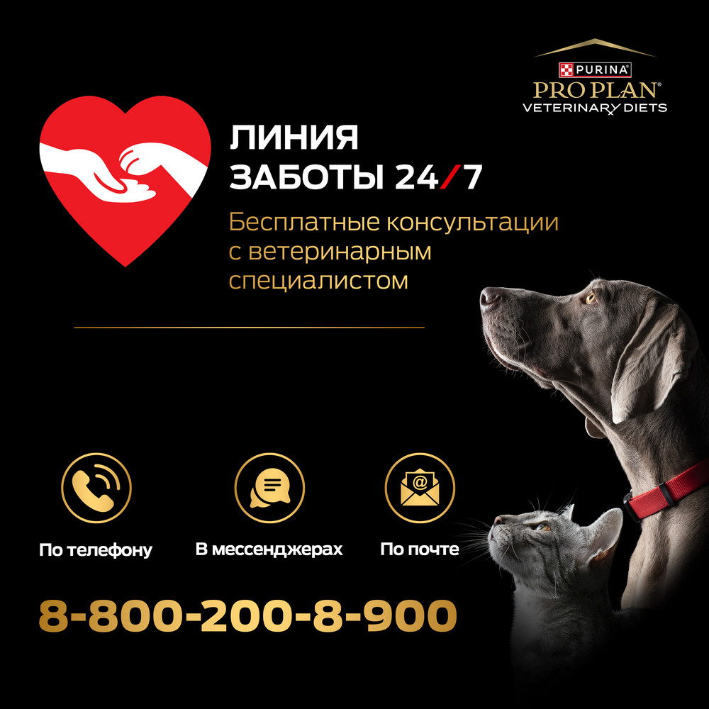 b10b6fc3-8121-4016-a9a2-913dda935ac3 (1)