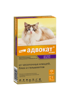 1_Advocate_cat_from4kg_1pip_face