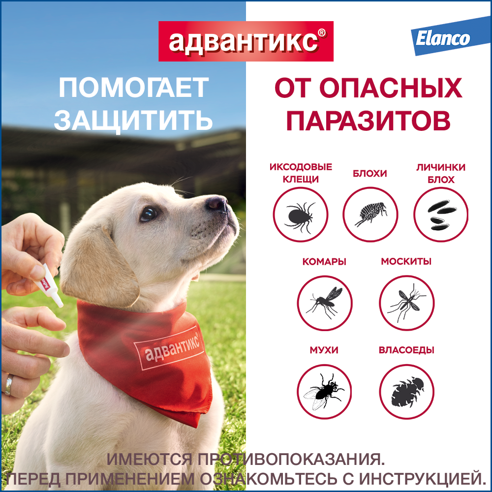 5.Advantix dog 25-40 1pip_parasites