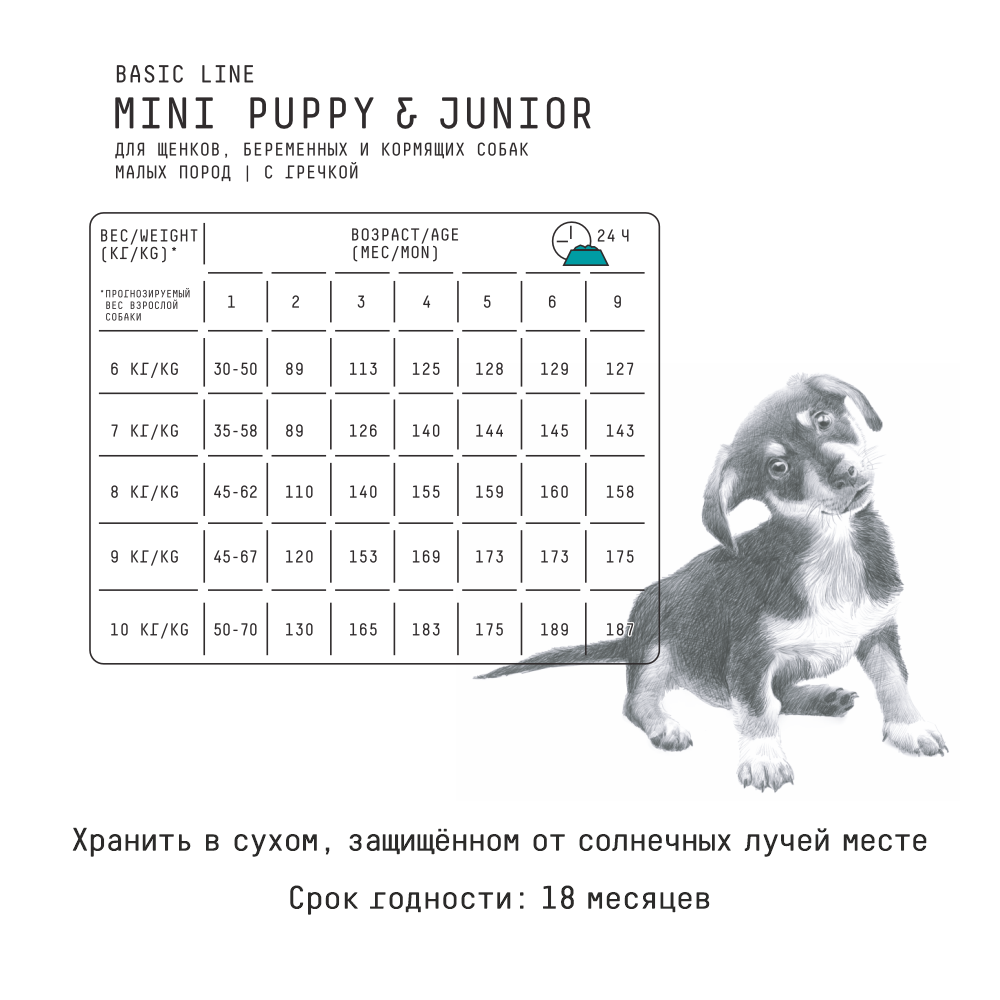 MP_Cards _AJO_MiniPuppy Jr  3
