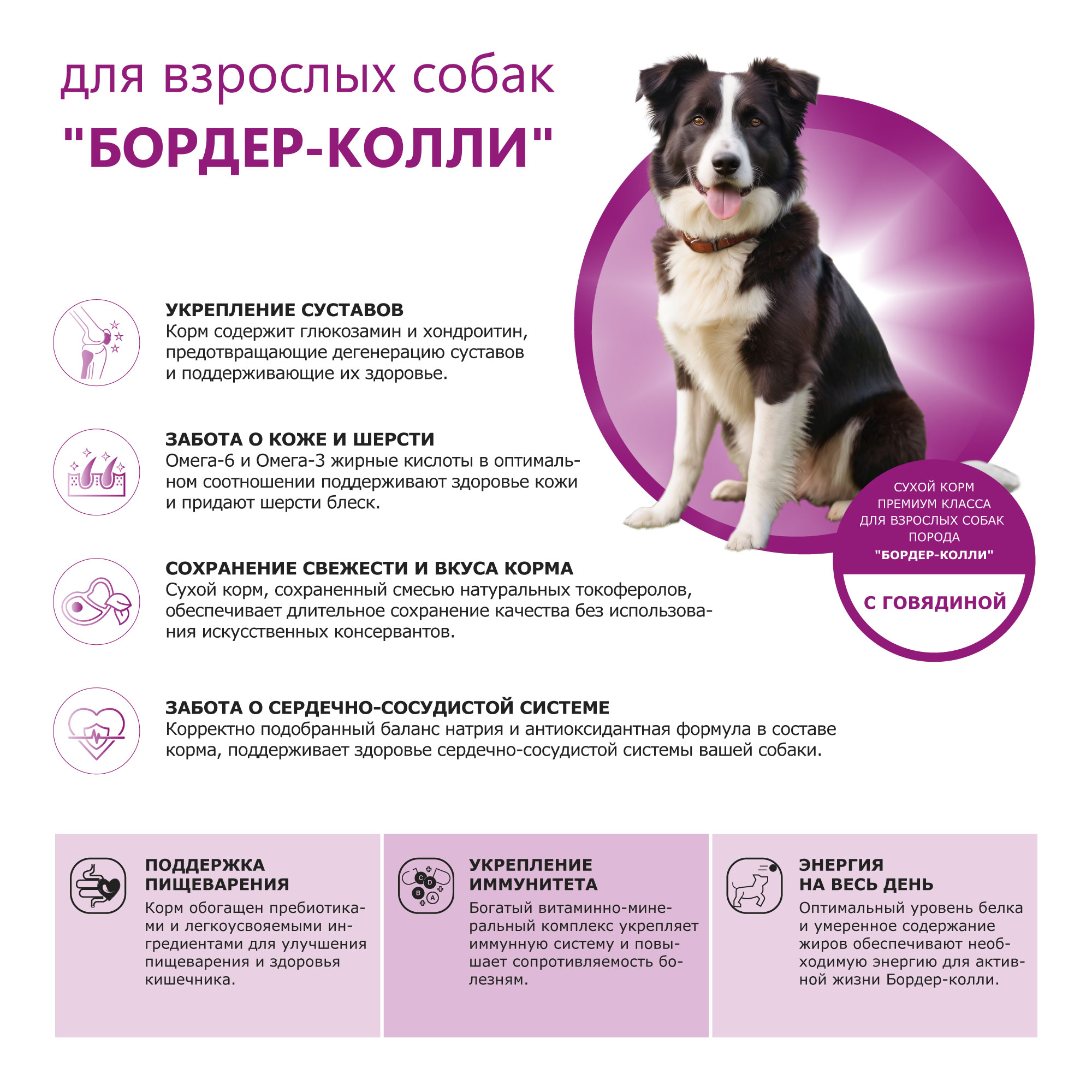 pic-2-говядина