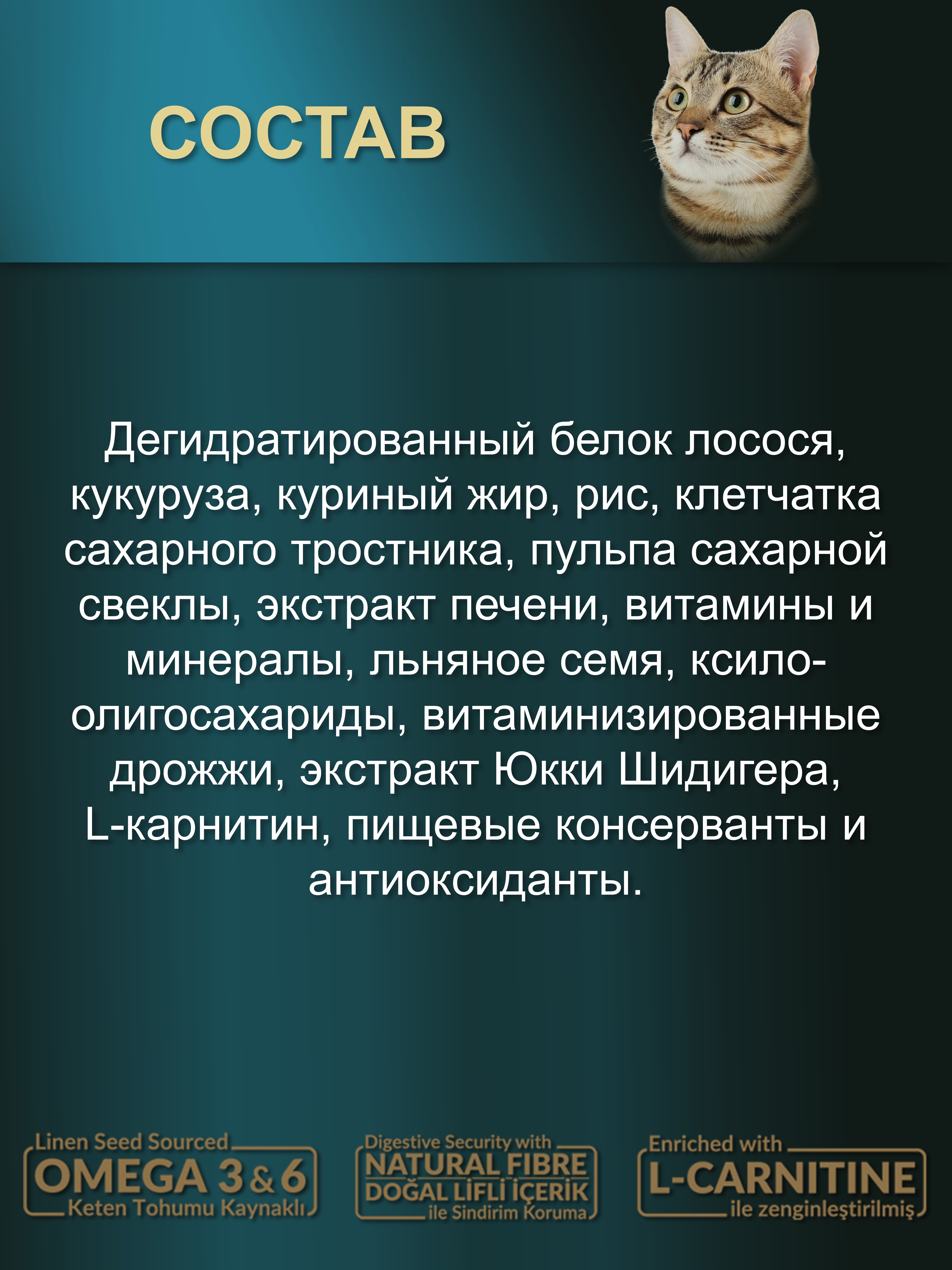 БИ_000278__2