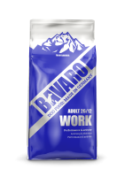 026 Bavaro Work
