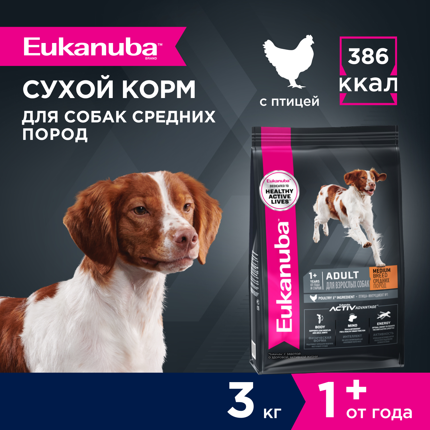 2-3kg-dry_Adult-Medium-Breed