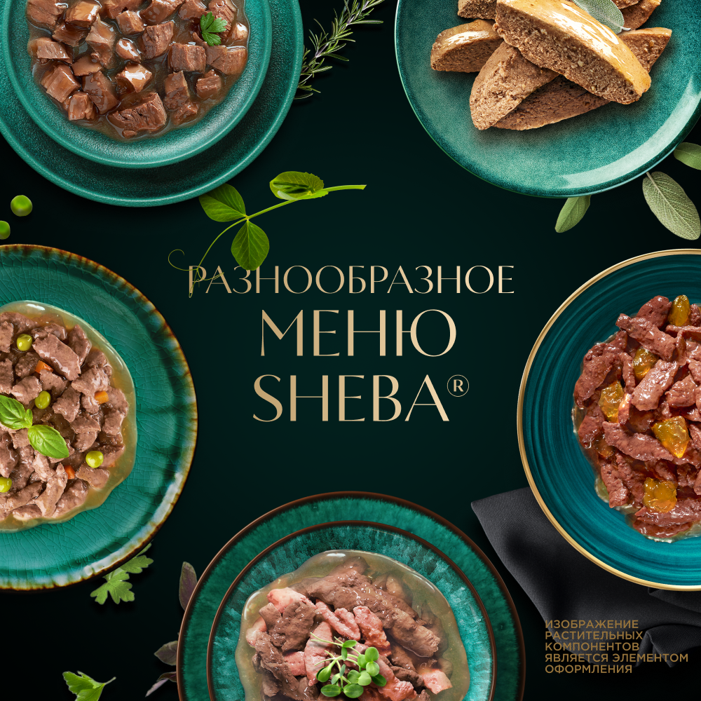 PATE_Chicken_15_Portfolio (1)