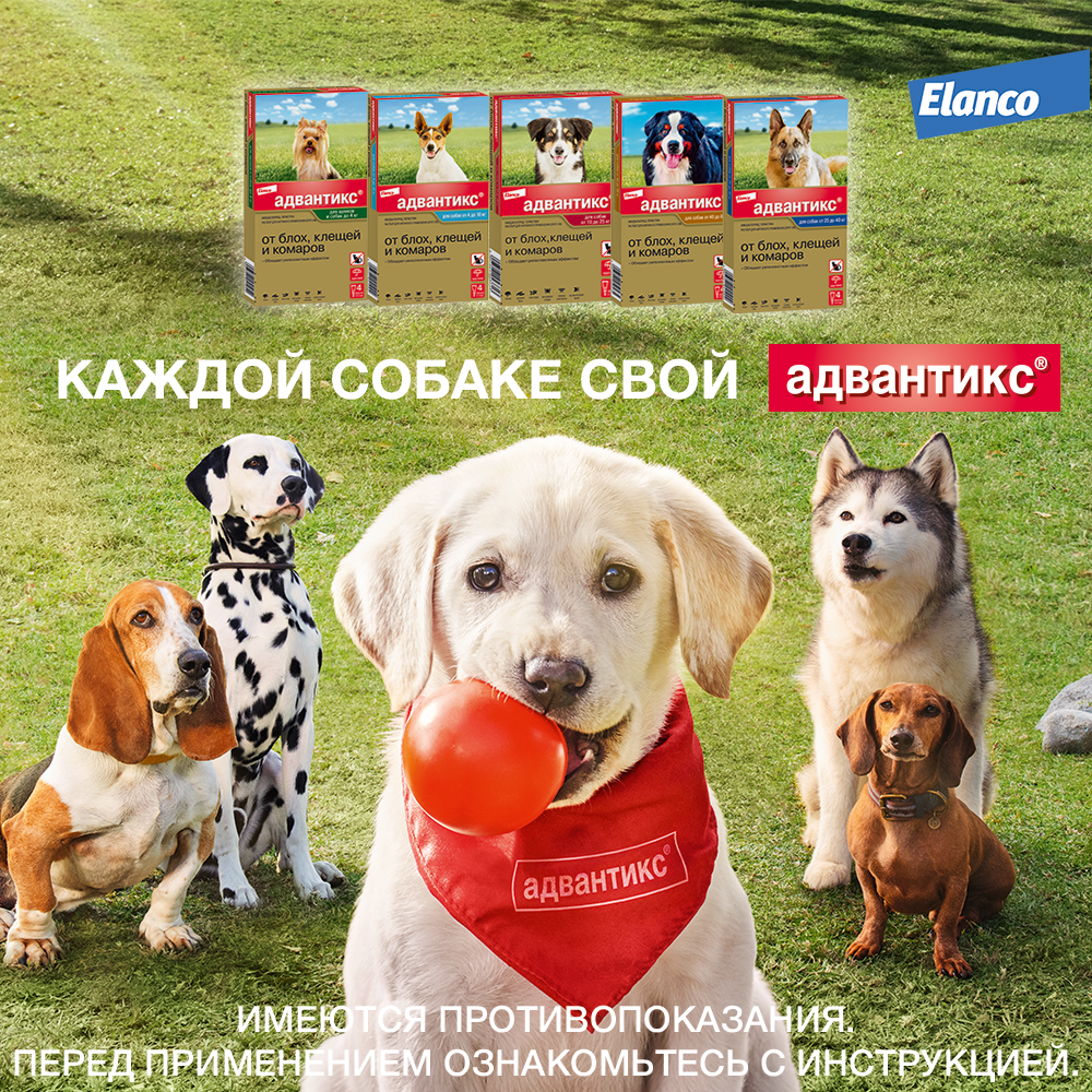 11.Advantix dog 25-40 1pip_all