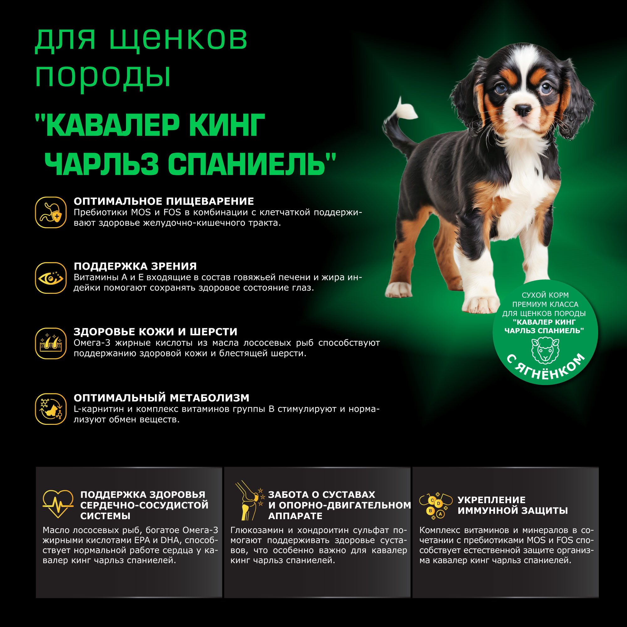 Quattro корм для щенков породы Кавалер кинг чарльз спаниель, с ягненком