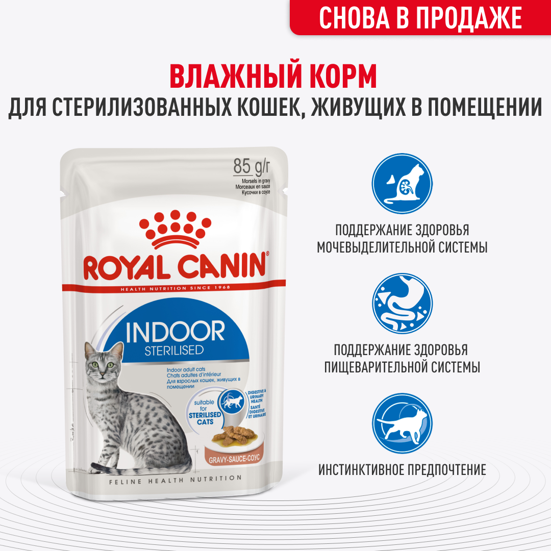 Royal Canin Indoor влажный корм для стерилизованных кошек, живущих в  помещении, в соусе (28шт в уп) — купить по доступной цене с доставкой