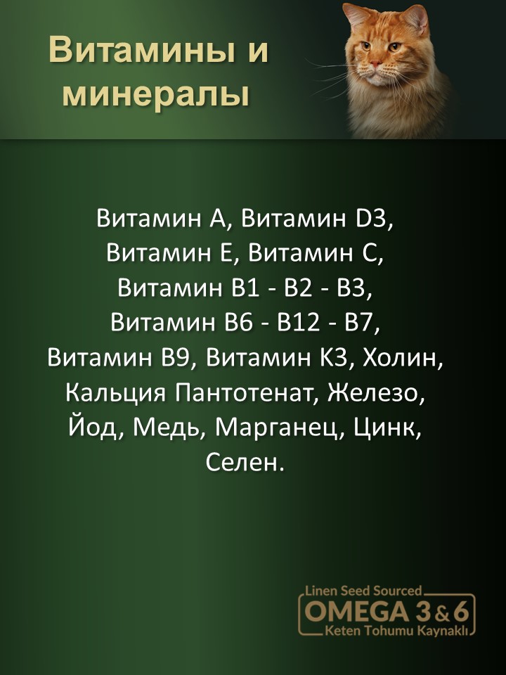 БИ_000279_3
