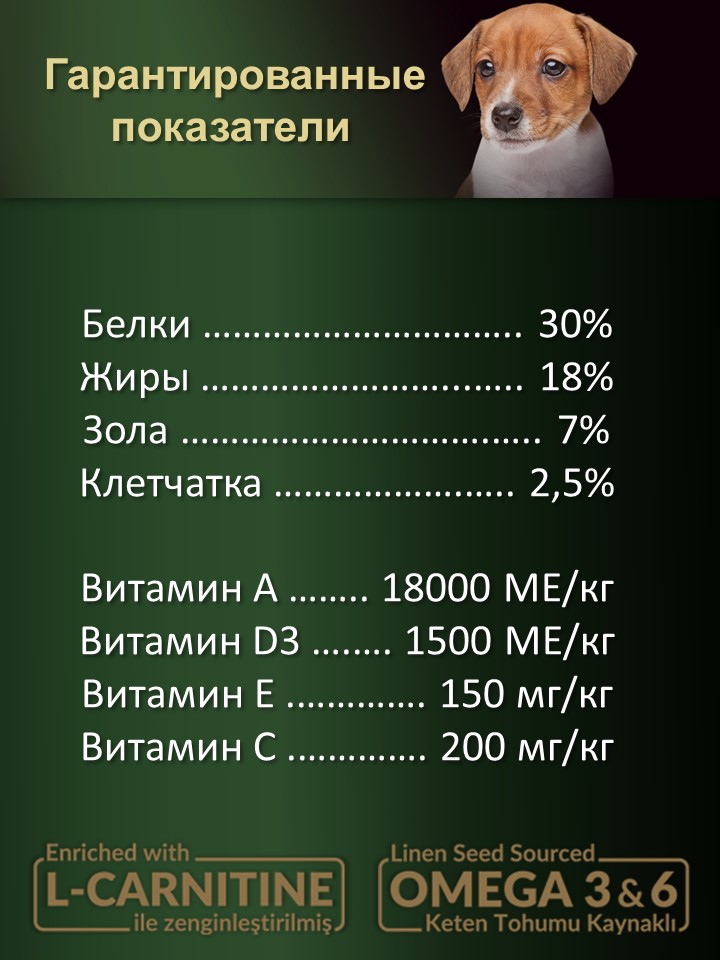 БИ_000259_4