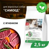 Quattro корм для взрослых собак породы Самоед, с ягненком