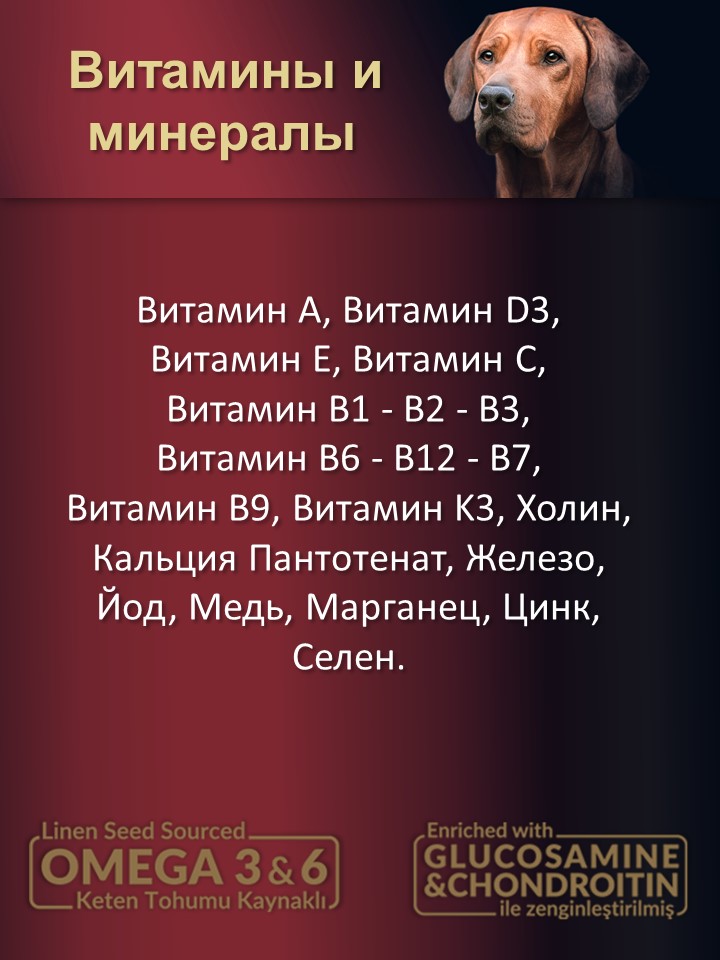 БИ_000256_3
