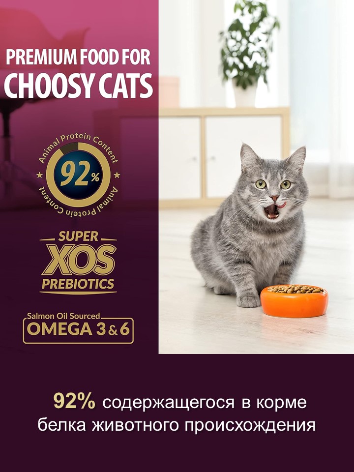 БИ_000281_5