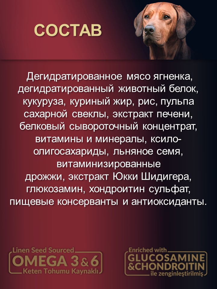 БИ_000256_2