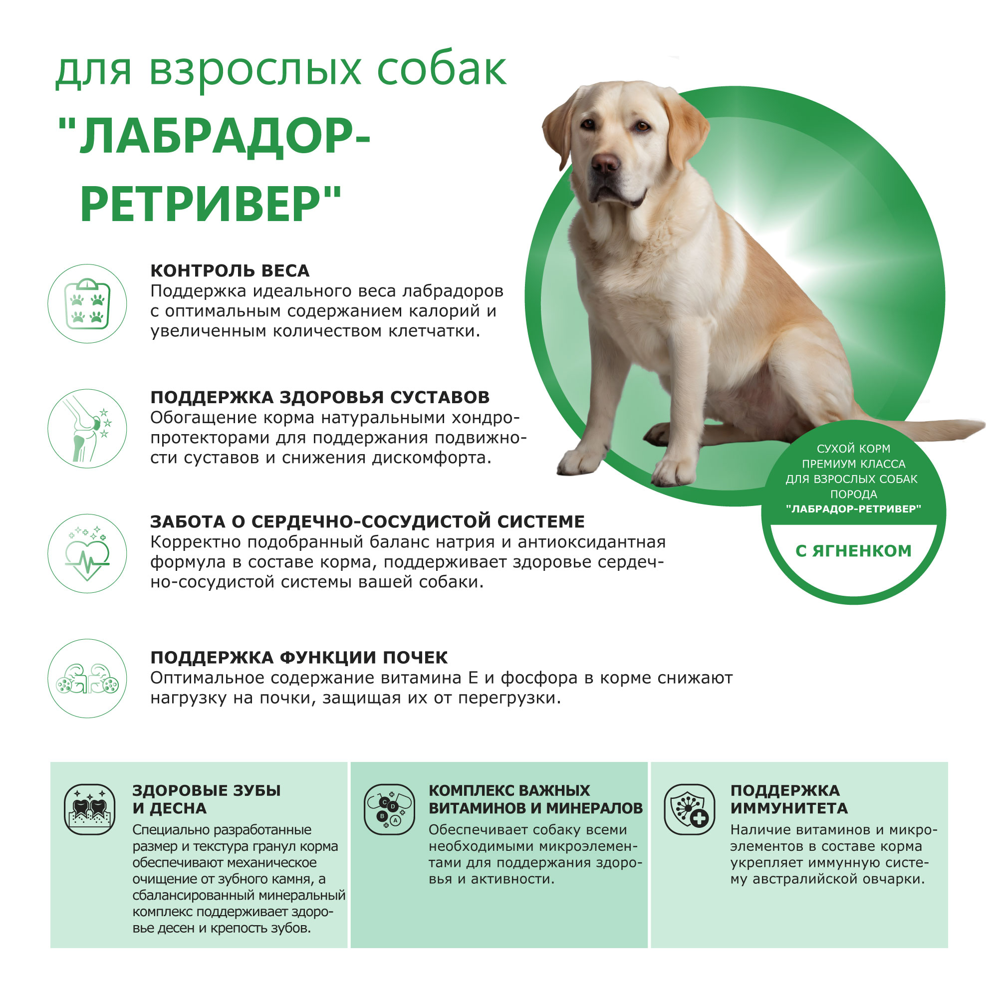 Quattro корм для взрослых собак породы Лабрадор-ретривер, с ягненком