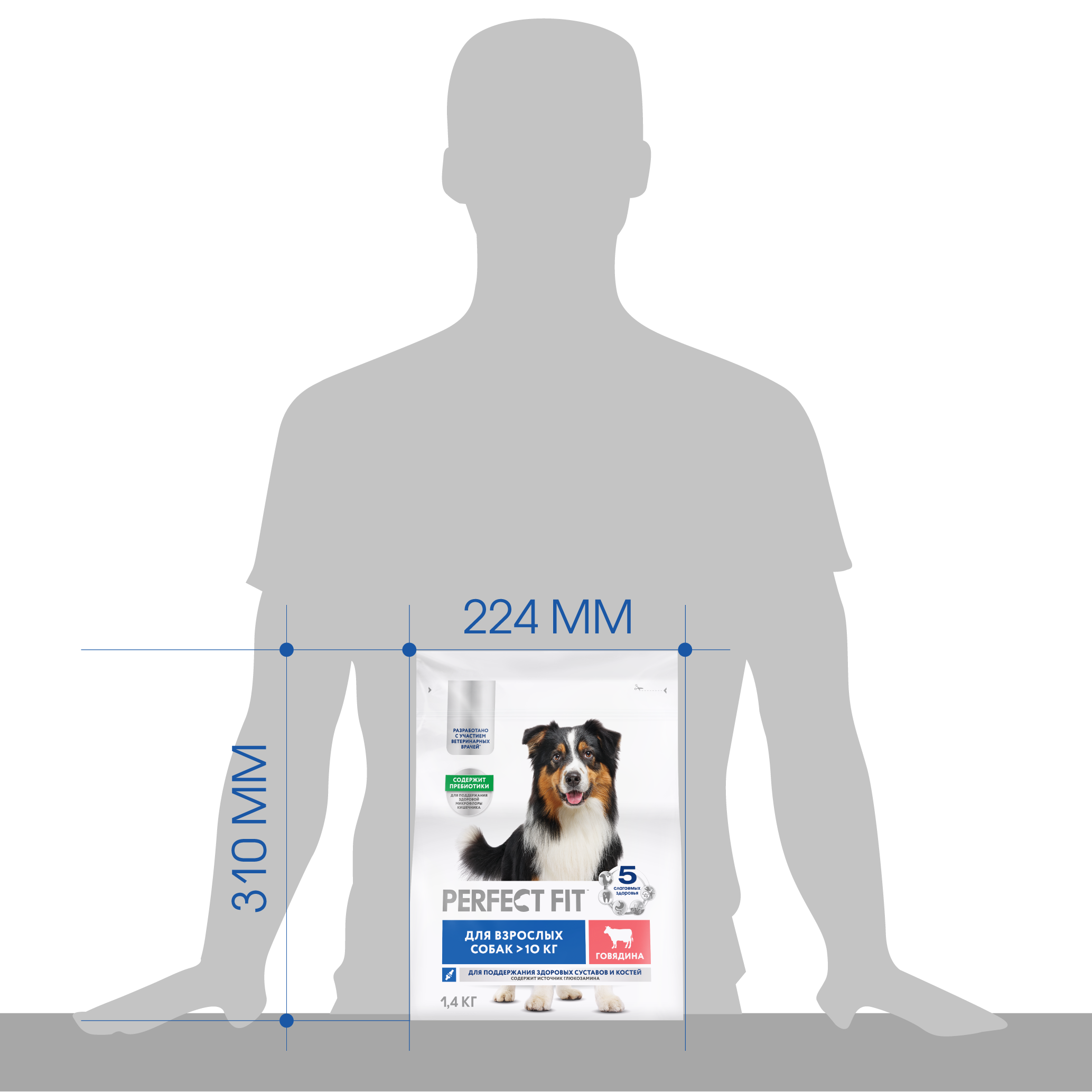 PerfectFit_DOGs_DCOMM_2025.06.16_Adult_XL_Beef_1,4kg_size