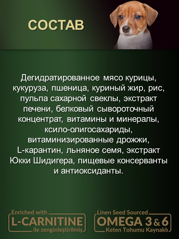 БИ_000259_2