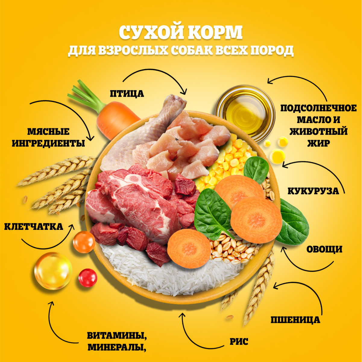 PDG_Dry_Ingredients_All breeds_Beaf