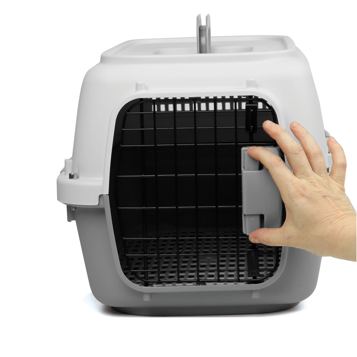 good-4cc23b99-d4d0-11ef-a5a1-b07b25e4d639