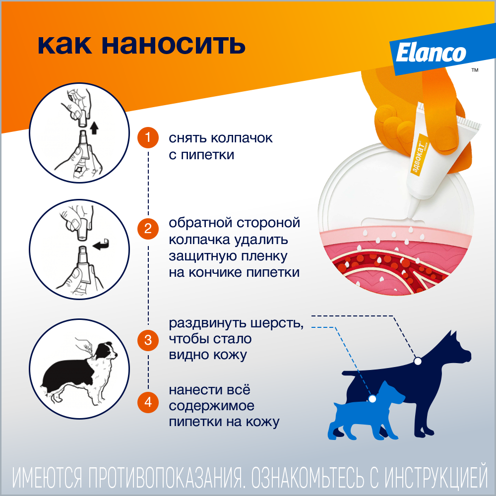 9. Advocate_dog_how