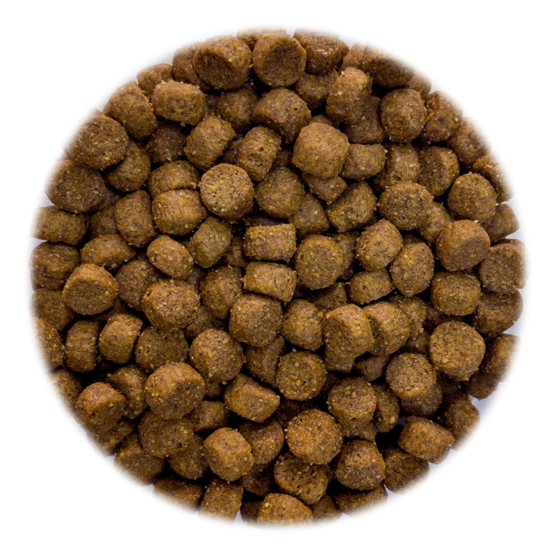800X800_Cat Club Sterilised Shrimps Croc