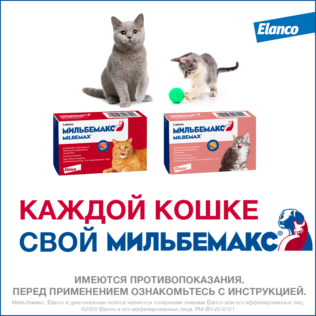 8. Milbemax_big cats_rich_8_both packs