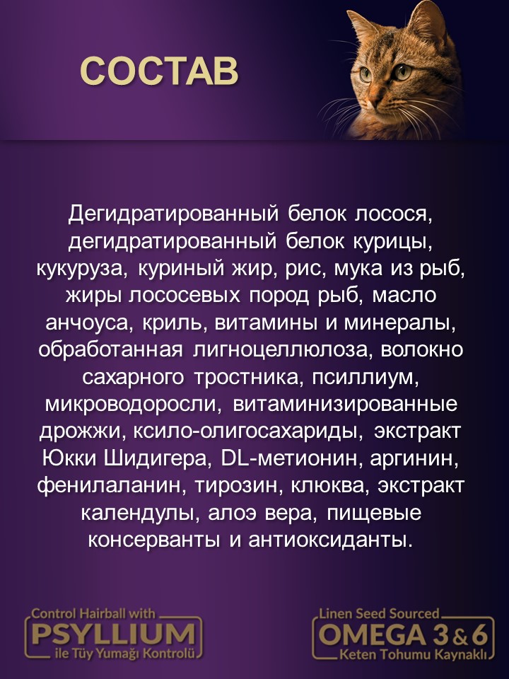 БИ_000268_2