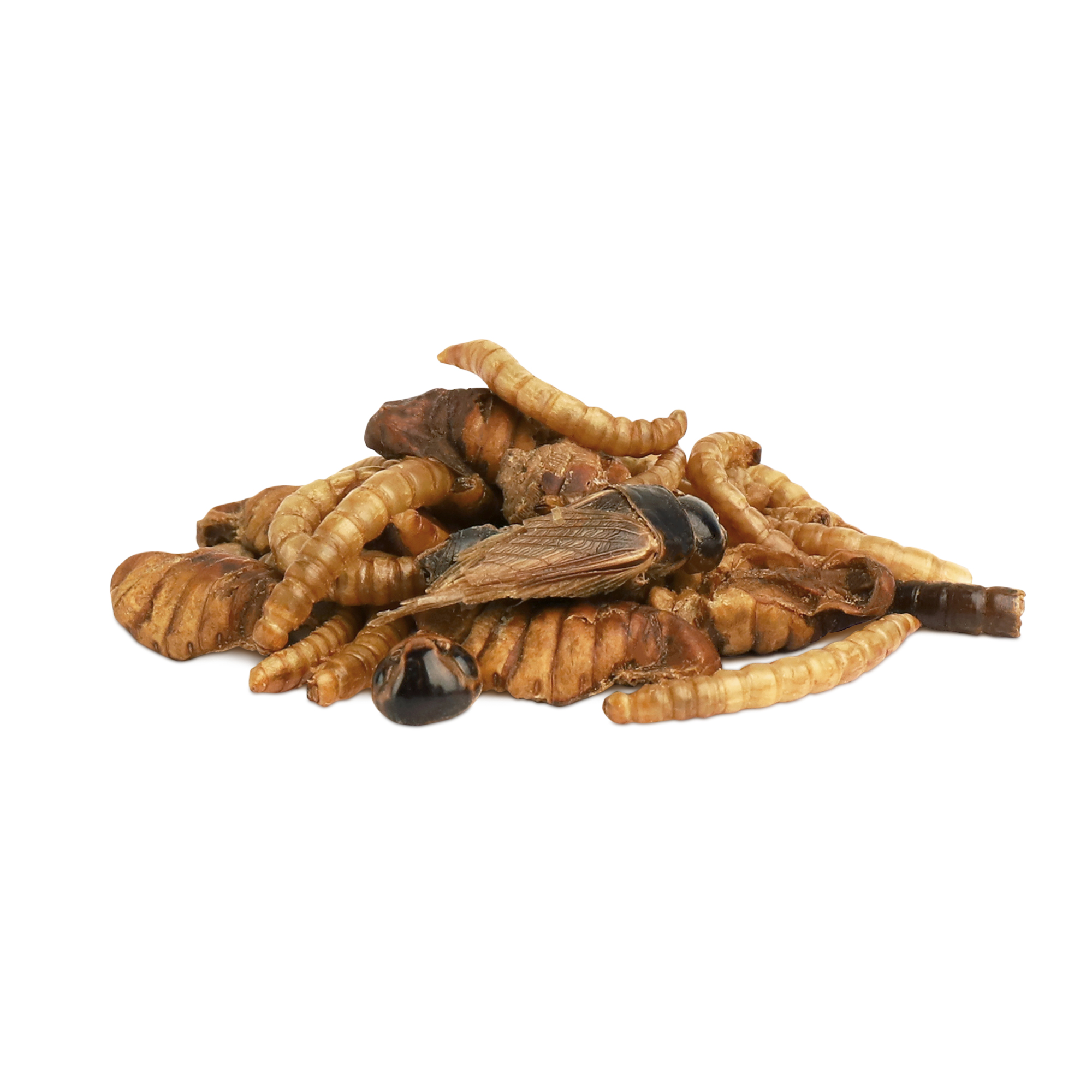 Little One_snack_insect mix_show