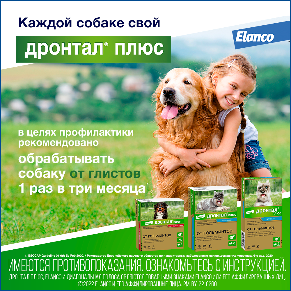 8. Drontal dog_recom
