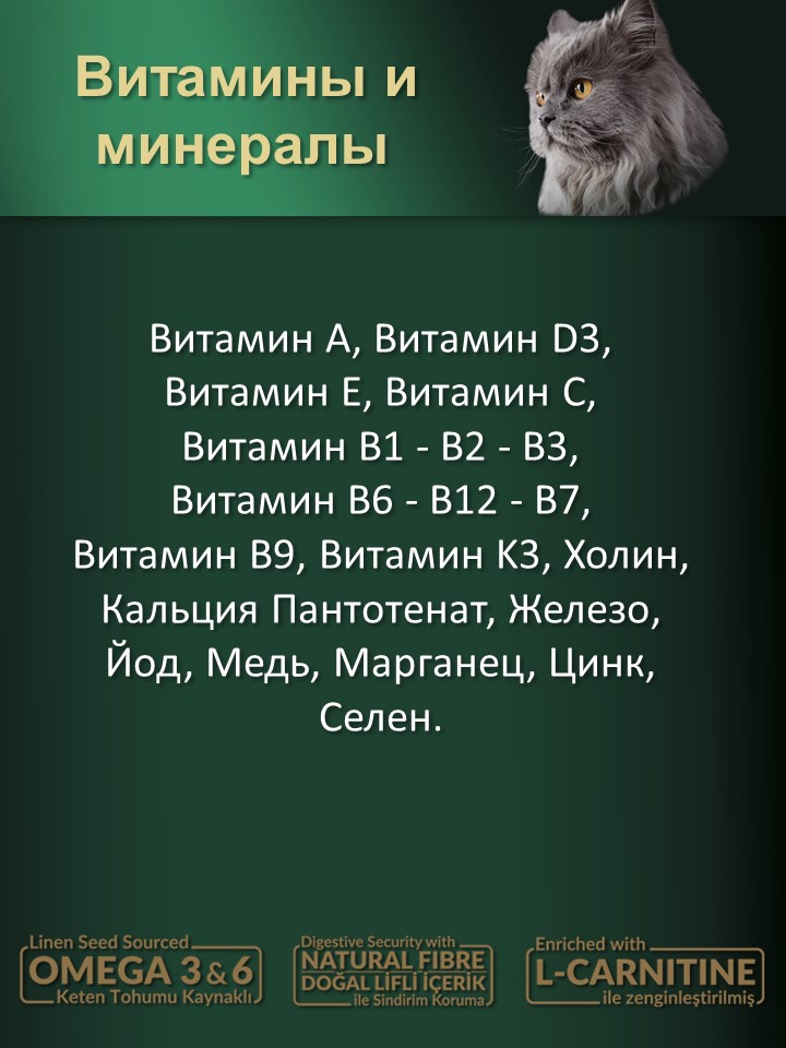 БИ_000271_3