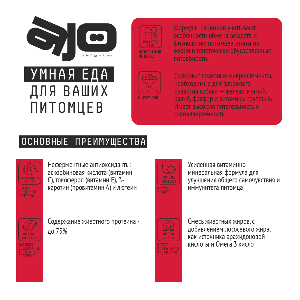MP_Cards _AJO_MaxiAdult  4