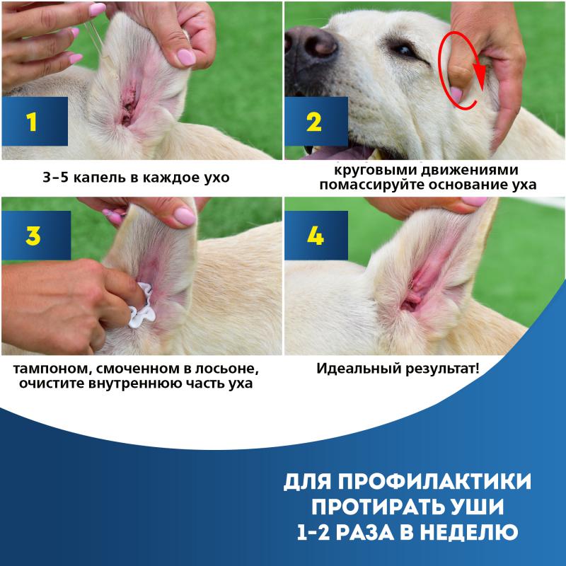 Cliny_Лосьон-для-ушей_3