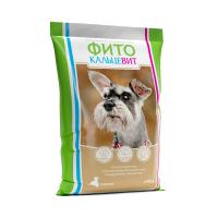 Fito_feed_old dog_FACE